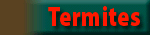 About Termites